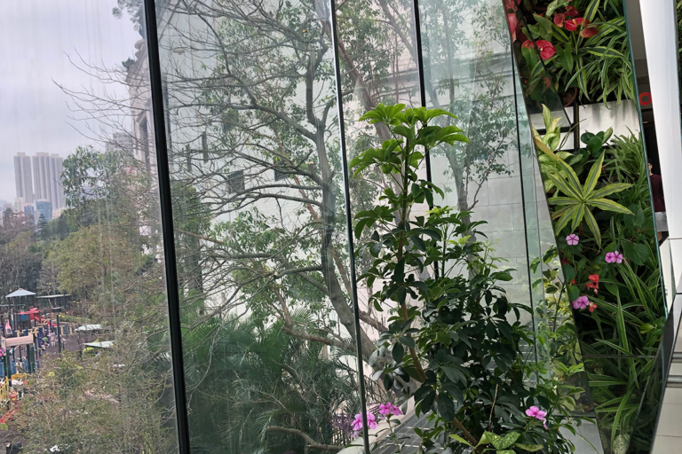 Plants reflected under a mirrored pillar on a shopping centre bridge.